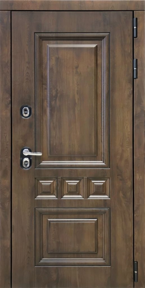 Входная дверь ДвериПРО Аура Лаура (16мм, анегри 74) DPRO196991 внешняя сторона